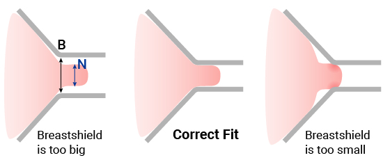 myfit chart